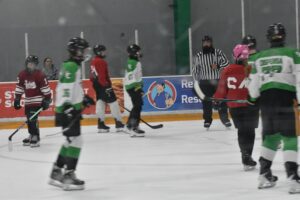 DSC_0028